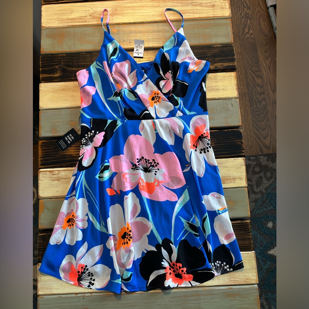 Express Blue Floral Dress